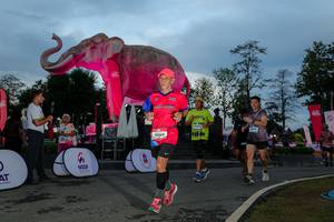 BIB: 
                            <button type="button" onclick="openModal(26529571)" class="btn btn-primary btn-sm float-right btn-popup" data-toggle="modal" data-target=".modal-high-quality">
                        <i class="fas fa-shopping-cart"></i> Add to Cart
                    </button>
                                            <button type="button" onclick="isThisMe(26529571, true)" class="btn btn-success btn-sm float-right btn-popup btn-isme hidden" data-toggle="tooltip" data-placement="bottom" title="นี่คือรูปของคุณใช่ไหม คลิกที่นี่เพื่อเอาเข้าอัลบั้ม">
                        <i class="fas fa-plus"></i> Add to album
                    </button>
                    <button type="button" onclick="isThisMe(26529571, false)" class="btn btn-warning btn-sm float-right btn-popup btn-isnotme hidden">
                        <i class="fas fa-ban"></i> Remove from album
                    </button>